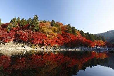 香嵐渓