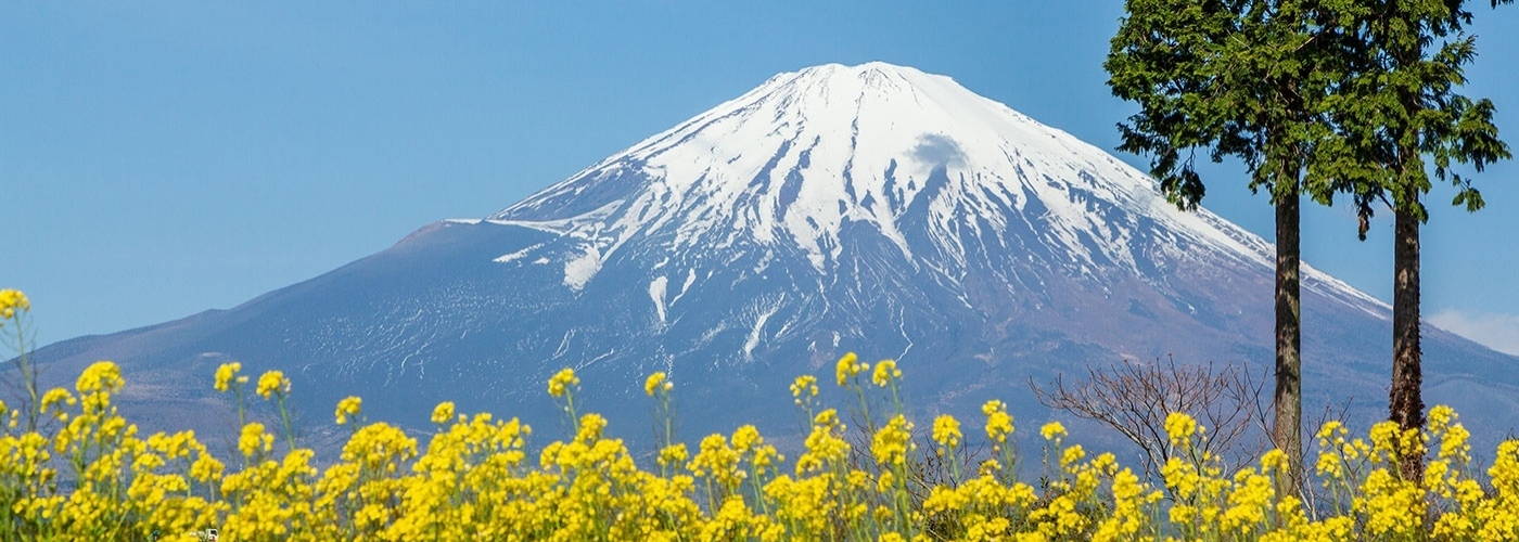 富士山イメージ